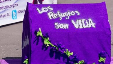 Urgen refugios para mujeres que sufren violencia.